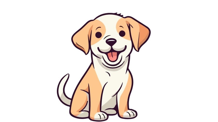 Chó sủa dai dẳng lúc khuya là có điềm