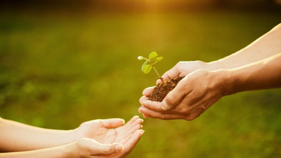 Sự thật rằng không phải cứ tốt với người thì người sẽ tốt lại