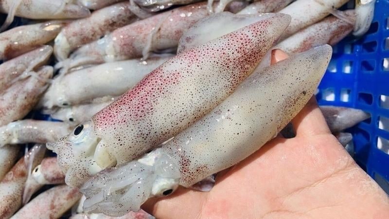 Cách chọn mực tươi ngon