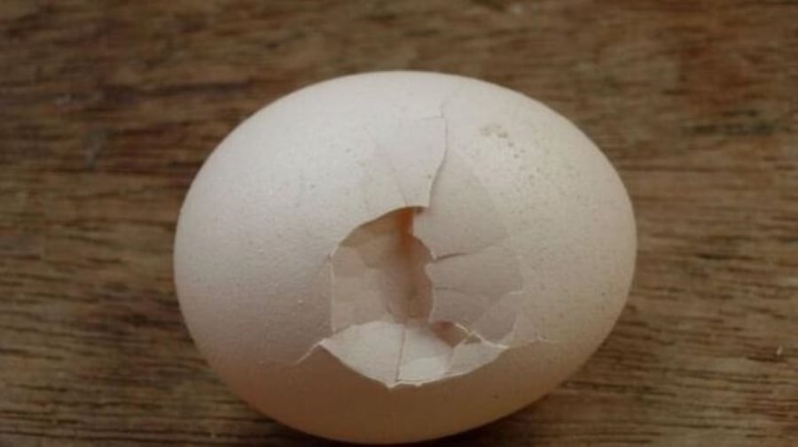 ỏ trứng có chứa vi khuẩn salmonella, nếu trứng bị nứt, vi khuẩn salmonella có thể lây lan vào bên trong trứng. Nếu ăn phải những quả trứng này có thể gây ngộ độc.