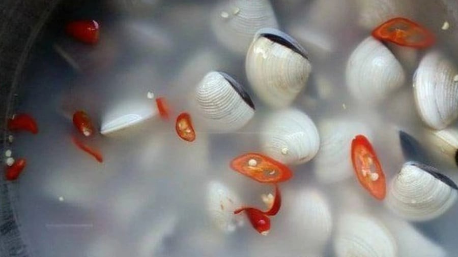 Nước vo gạo, ớt, giấm giúp ngao nhanh nhả sạch cát