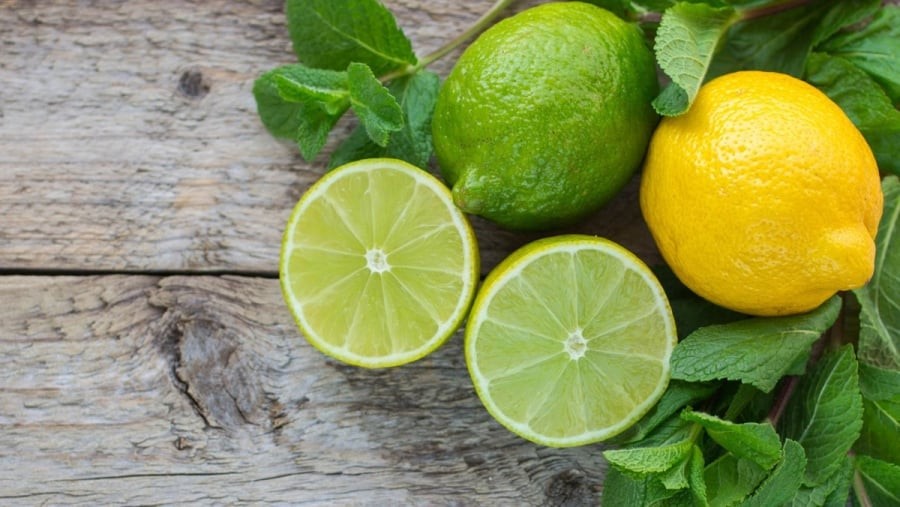 Chứa một lượng vitamin C dồi dào, lá chanh giúp tăng cường sản xuất bạch cầu, nâng cao sức đề kháng của cơ thể, chống lại các vi khuẩn và virus gây bệnh.