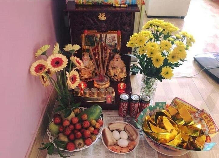 Hoa đồng tiền không chỉ có vẻ đẹp rực rỡ, mà còn mang ý nghĩa phong thủy sâu sắc.