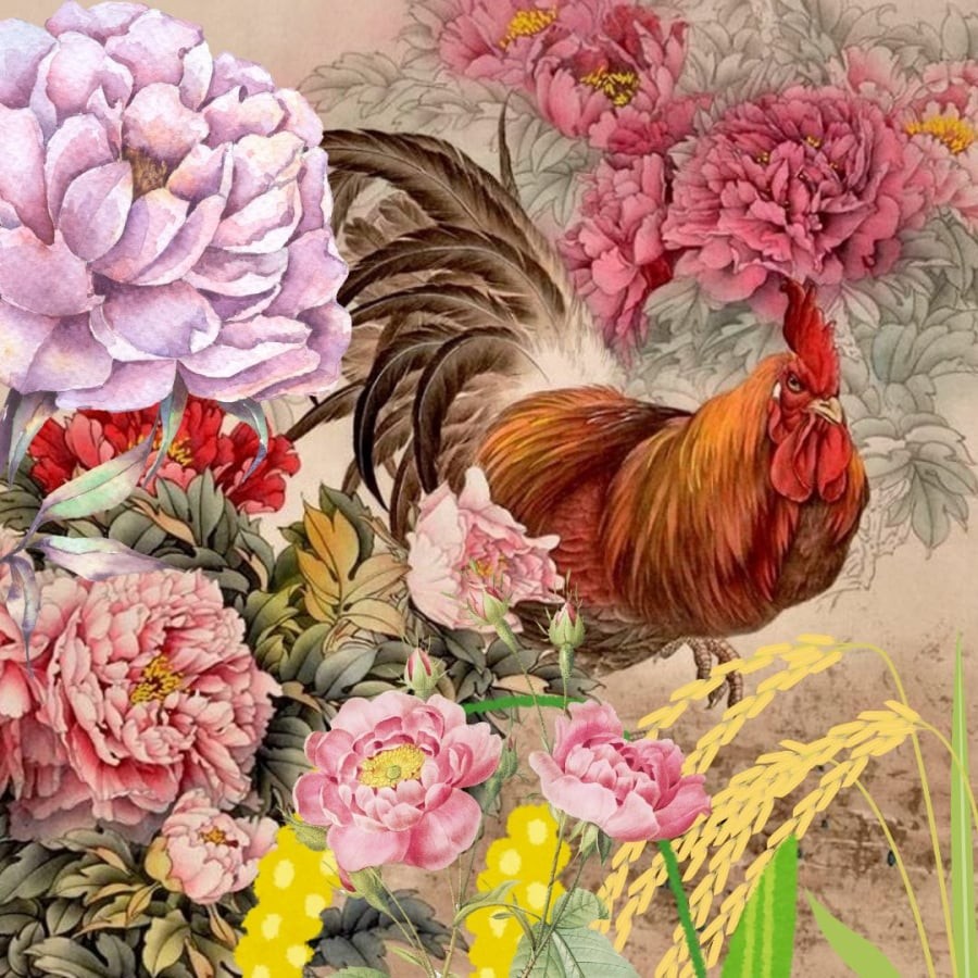 Tuổi Dậu chậm mà chắc, ngày trẻ lao đao về già giàu có