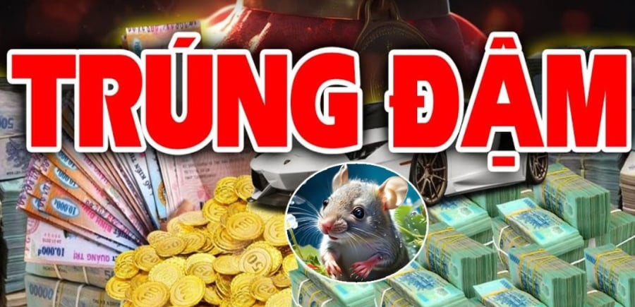 Tuổi Tý may mắn 2 năm tới