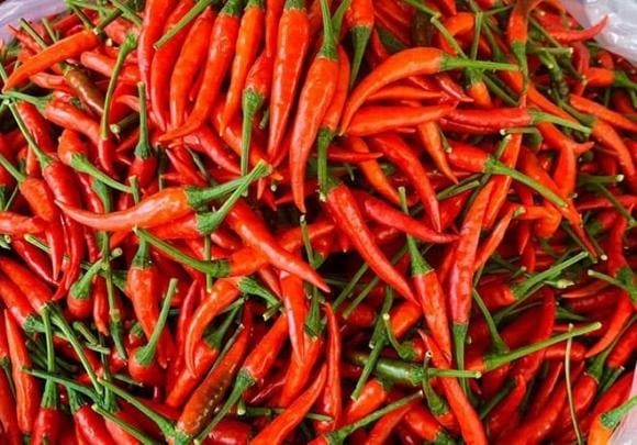 Cụ thể, quả ớt nổi bật nhờ capsaicin – hợp chất tạo vị cay đặc trưng và đóng vai trò quan trọng trong việc duy trì sức khỏe tim mạch.

