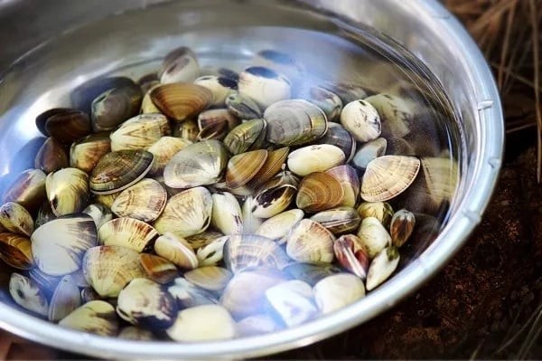 Bạn nên hòa muối vào nước ấm 40 độ C rồi thả ngao ốc vào, nước ngập, đậy nắp lại. Sau khi được kích thích bởi nước ấm, ngao ốc sẽ mở vỏ và nhả ra cặn liên tục. Chỉ chưa đầy 20 phút, con ngao đã gần như sạch hoàn toàn.