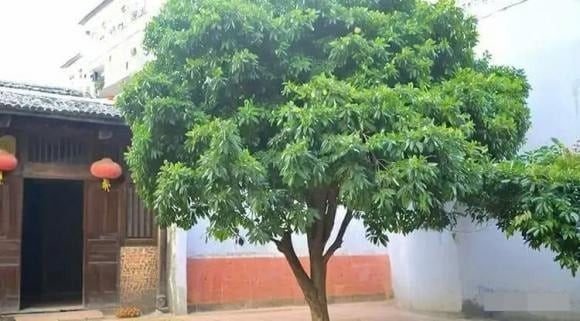 Theo phong thủy, các góc nhọn mang năng lượng xung sát, được xem là một trong những yếu tố đại kỵ trước nhà.