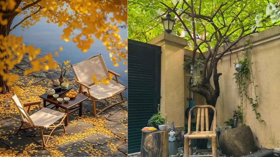 Trong phong thủy và văn hóa Á Đông, trồng cây đúng loại, đúng chỗ không chỉ tạo cảnh quan đẹp, lọc không khí mà còn mang đến vượng khí, tài lộc và bình an cho gia chủ.