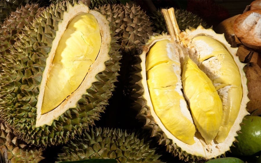 Người mắc 5 bệnh này tuyệt đối không nên ăn sầu riêng