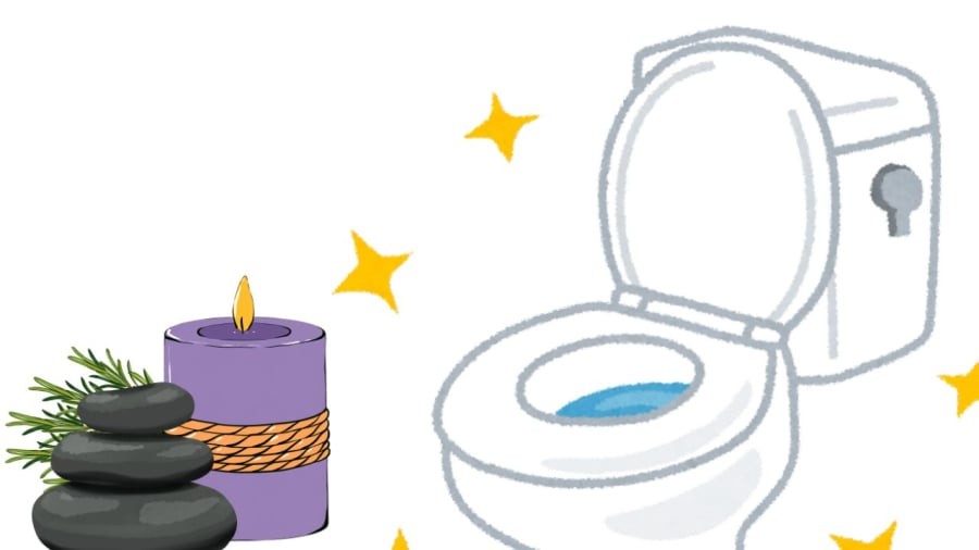 Đặt thêm cây xanh vào trong nhà vệ sinh sẽ giúp khử mũi