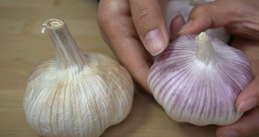 Tỏi vỏ tím và tỏi vỏ trắng có hương vị khác biệt.