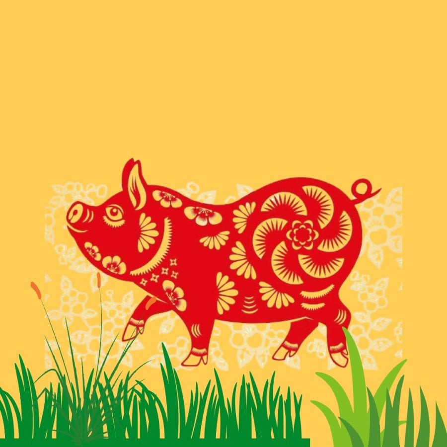 Tuổi Hợi làm đâu thắng đó