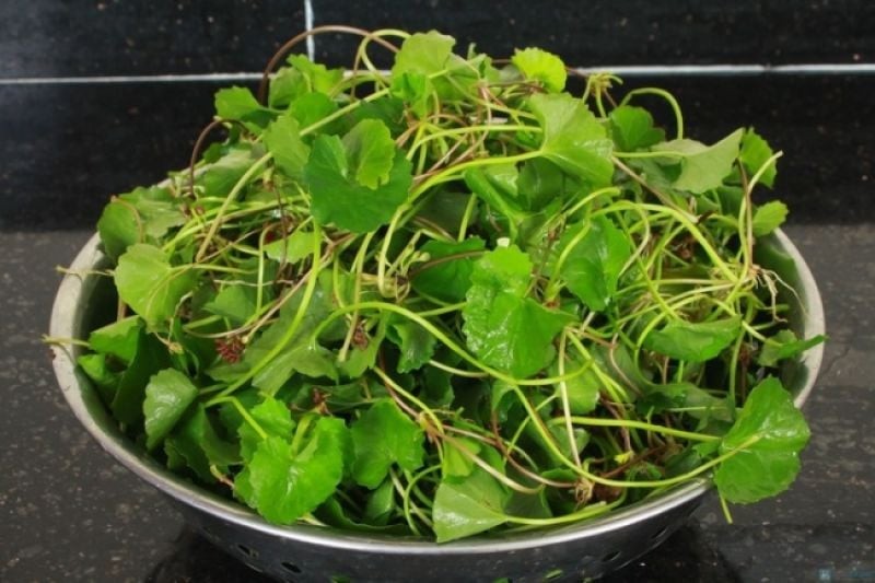 Rau má tốt cho sức khỏe