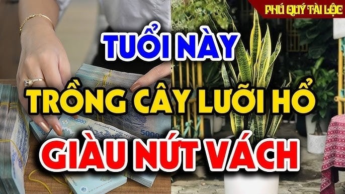 Đặt một chậu nhỏ trên bàn làm việc hoặc phía sau lưng chỗ ngồi để tạo thế “tựa núi đỡ lưng”.