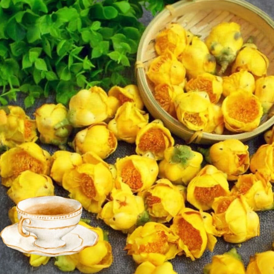 Trà hoa vàng trị giá cao nhờ công dụng tốt
