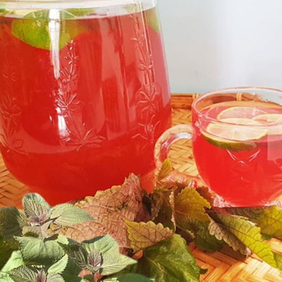 Nước tía tô giúp làm sạch mụn