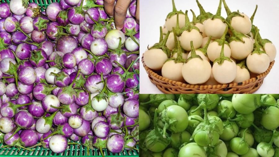 Chú ý khi chọn cà
