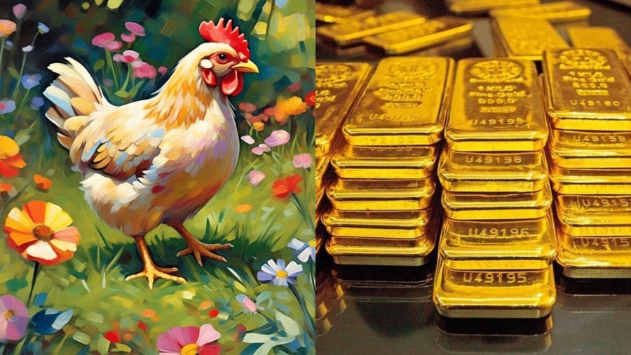 Tử vi 12 con giáp nói rằng tuổi Dậu là con giáp có tài lộc rực rỡ nhất trong khoảng thời gian từ Tết Đoan Ngọ (5/5 âm) đến tháng Rằm tháng 7.