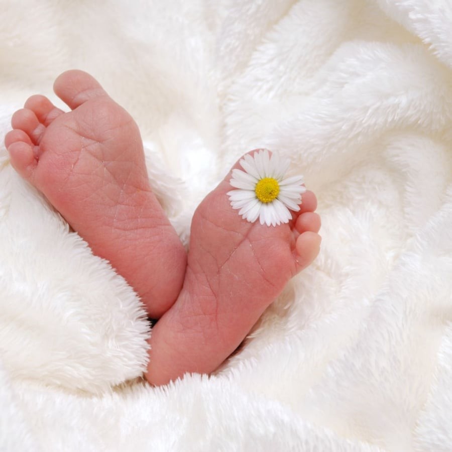 Em bé sinh giờ Thìn thường tài giỏi