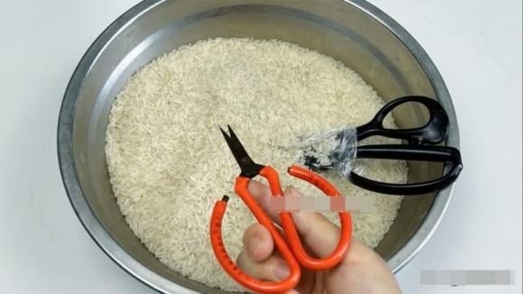 Kéo là vật dụng quen thuộc trong nhà nhưng lại rất dễ bị rỉ sét nếu làm từ sắt và để ở nơi ẩm. 