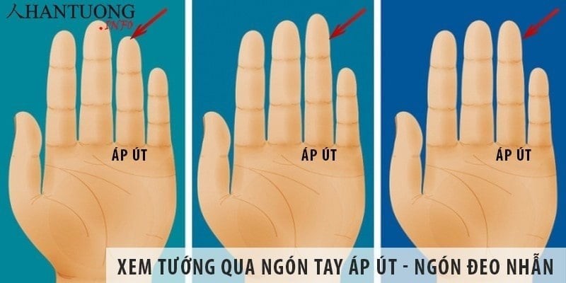 Vân danh tiếng là một đường vân thẳng đứng kéo dài qua cả ba đốt ngón áp út, biểu thị năng khiếu đặc biệt trong lĩnh vực văn học hoặc nghệ thuật.