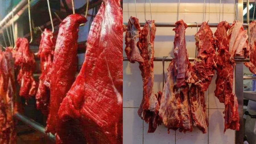 Các loại thịt mà con người ăn chủ yếu là từ động vật ăn cỏ (bò, trâu, lợn, gà, dê, cừu...)