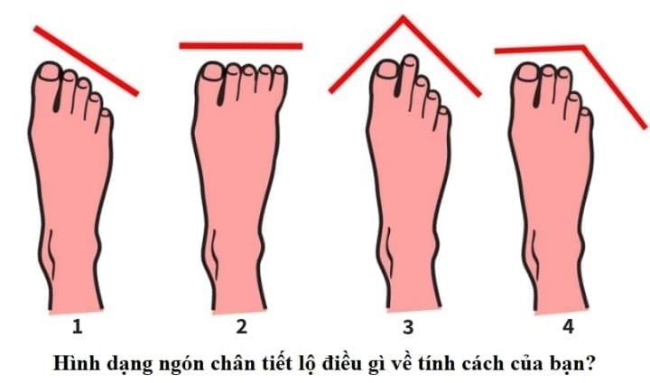 Kiểu bàn chân với ba ngón đầu tiên có chiều dài bằng nhau được xem là phổ biến nhất theo nhân tướng học.