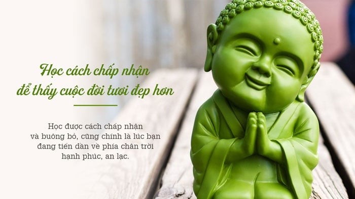 49 tuổi là lúc nhiều người ngộ ra rằng, cuộc đời không thể lúc nào cũng theo ý mình. Biết chấp nhận sự thật, buông bỏ những điều không thể thay đổi chính là dấu hiệu của sự trưởng thành.