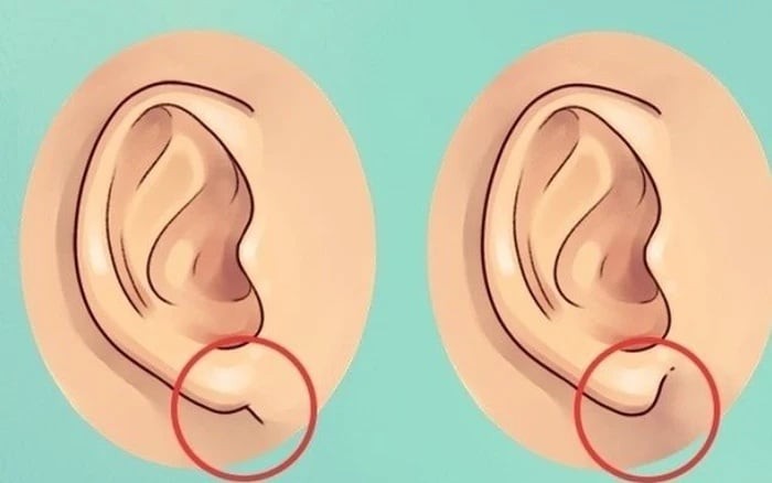 Đây là đặc điểm tướng học điển hình của người trường thọ, phúc hậu và giàu sang.