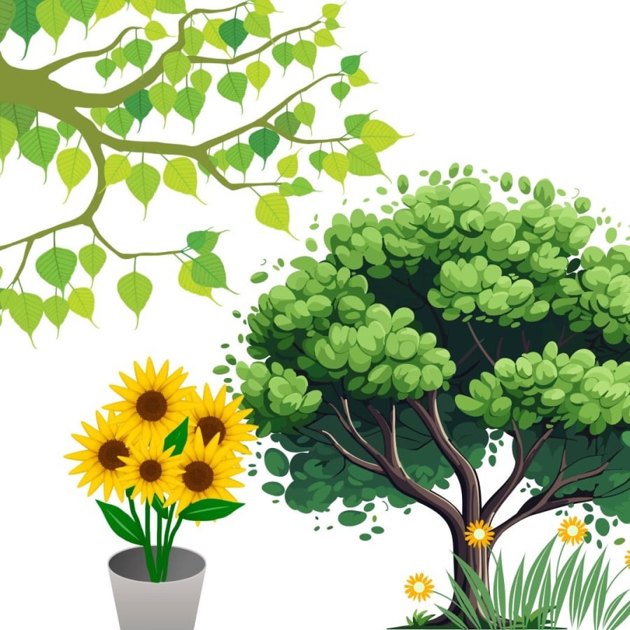 Cây cối xanh tươi đâm chồi nở hoa kết quả báo hiệu phong thủy thuận lợi