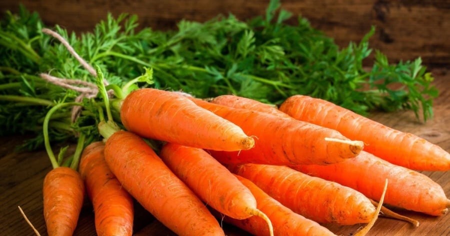 Cà rốt giàu chất xơ hòa tan, đặc biệt là pectin, giúp giảm hấp thu cholesterol tại ruột.