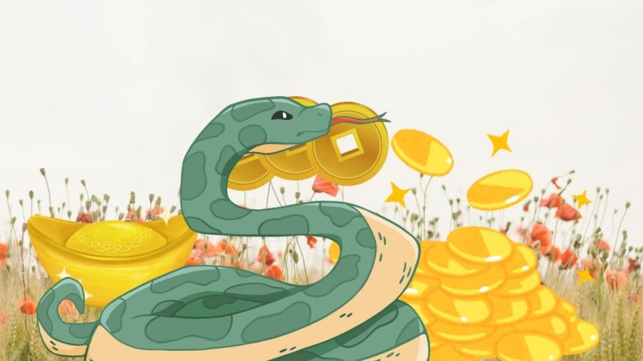Tuổi Tỵ đổi vận bất ngờ