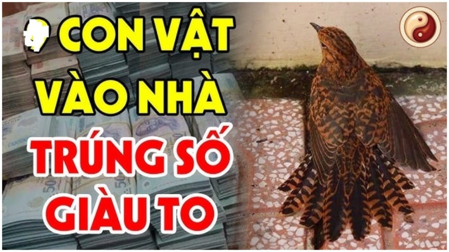 4 con vật vào nhà giàu có