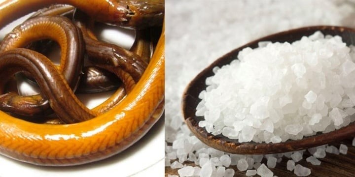 Cách làm sạch nhớt lươn đơn giản, lươn hết tanh, nấu gì cũng bổ