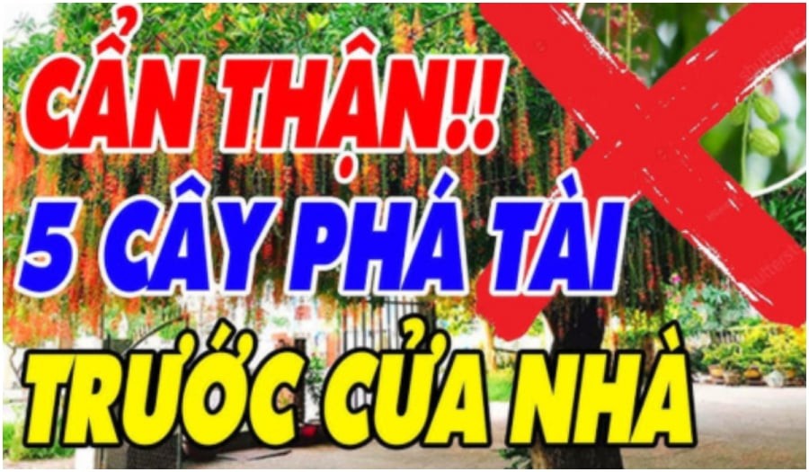 Những loại cây ác không nên trồng trước nhà