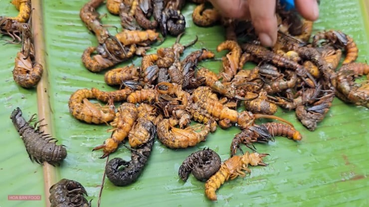 Nếu có dịp đến vùng núi Tây Bắc, đặc biệt là Lai Châu hay Yên Bái, bạn có thể được người dân địa phương mời một món ăn nghe thôi đã khiến không ít người