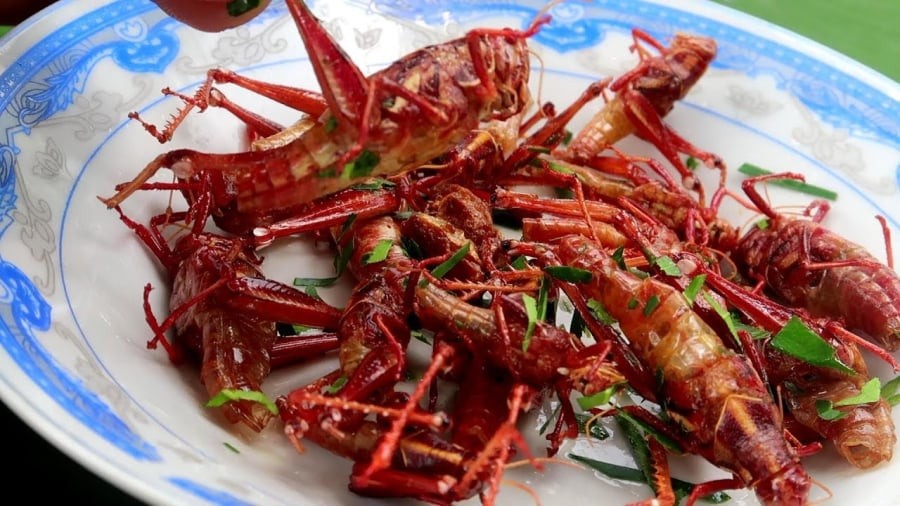 Tôm rừng thường được người dân bắt về, chế biến đơn giản bằng cách rang với lá mắc mật, lá gừng hoặc lá chanh