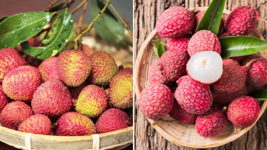 Quả vải thơm ngon, tốt cho sức khỏe nhưng không phải ai cũng nên ăn vải.