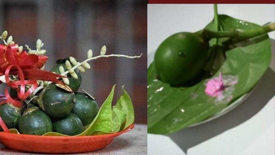 Lá trầu có thể kháng khuẩn trị mụn