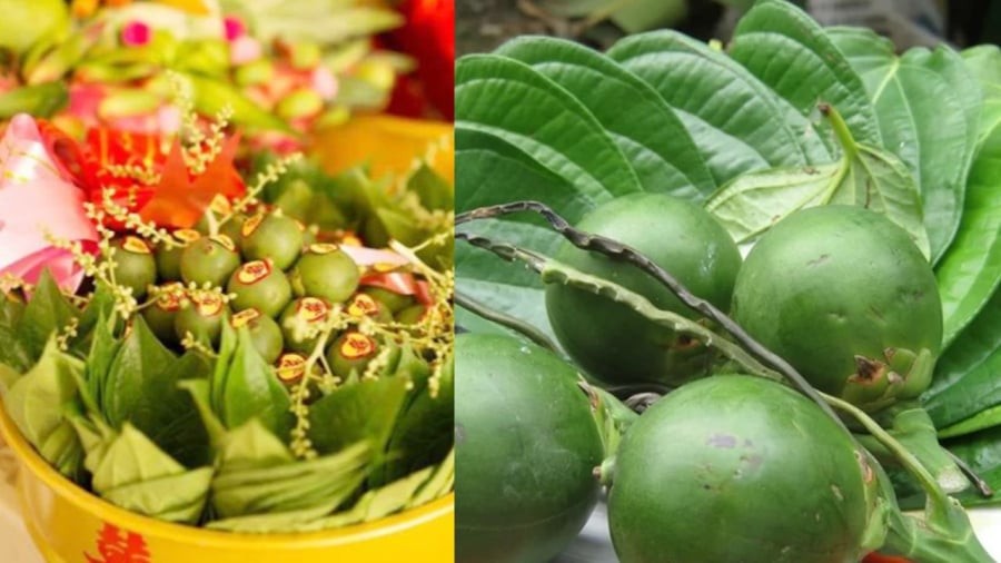 Trầu cau có nhiều công dụng làm đẹp mà nhiều người chưa biết