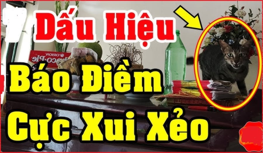 Những điềm báo trong nhà khiến gia chủ hao tài tán lộc