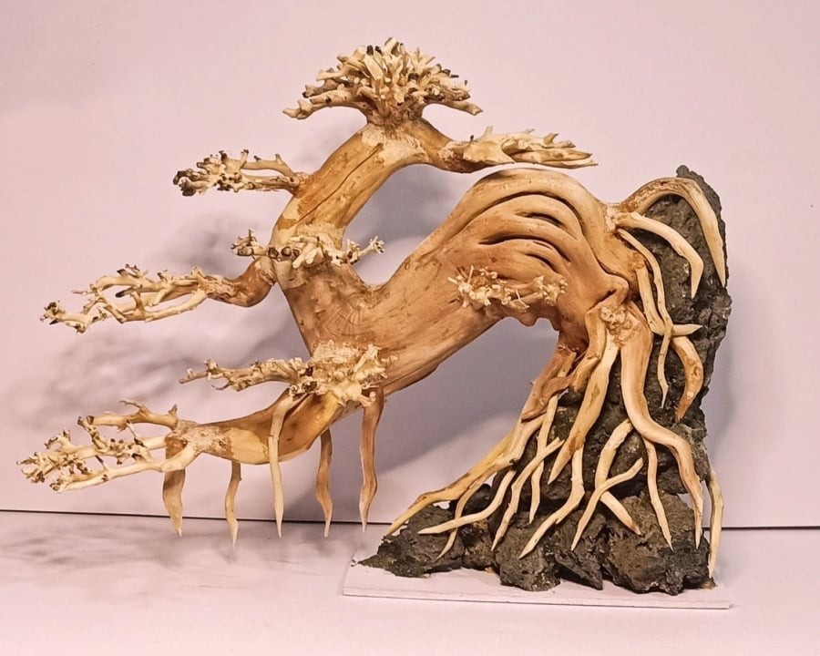 Gỗ lũa