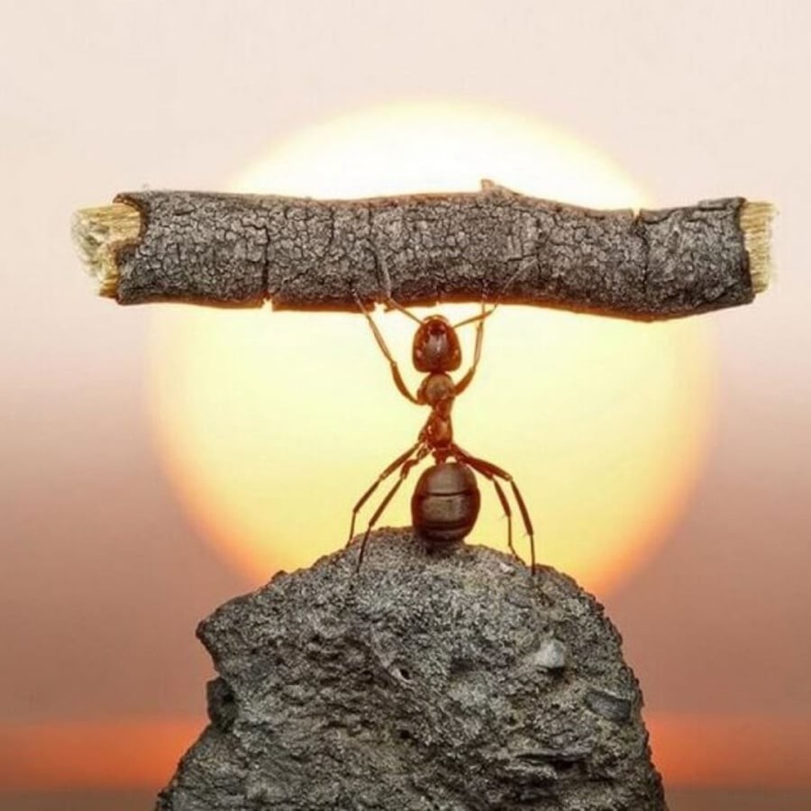 Kiên trì sẽ về đích