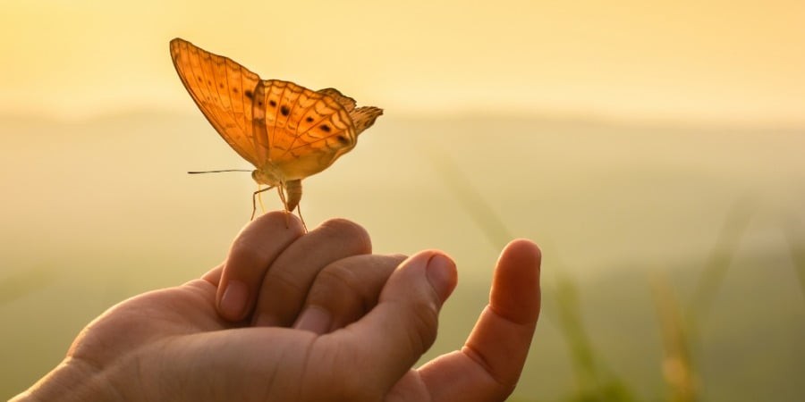 Sinh ra làm người, dù có cao quý hay nghèo hèn, không ai có thể sống mãi trên đời.