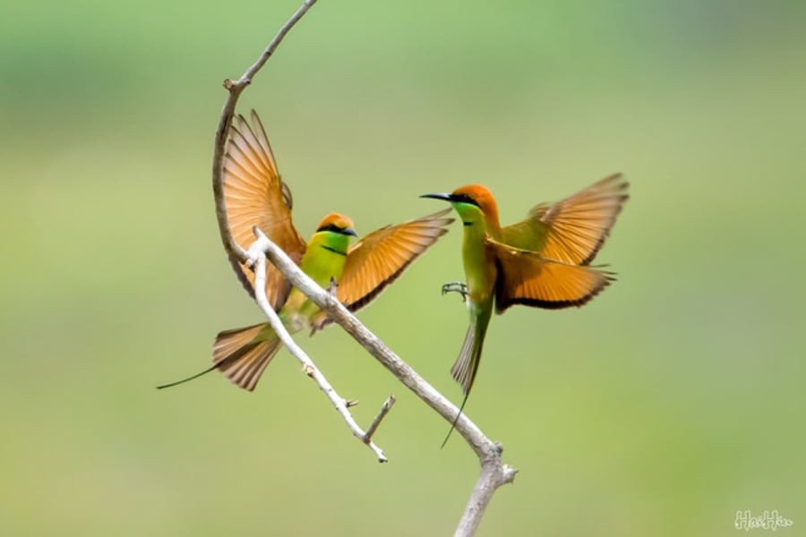 Người sinh vào khung giờ Tý này thường được quan sát thấy có một sức hút bí ẩn tự nhiên mà không cần tới lời nói. (Ảnh minh họa)