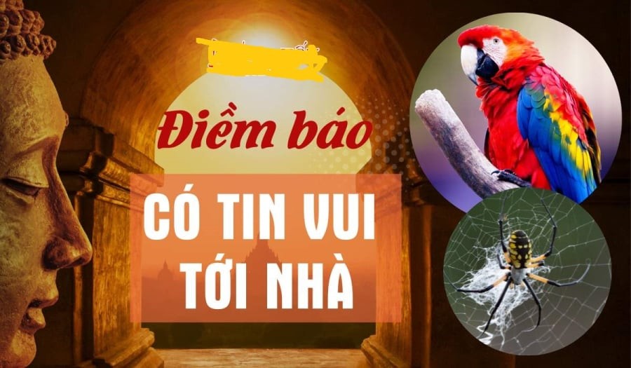 Nhà có dấu hiệu này điềm may mắn