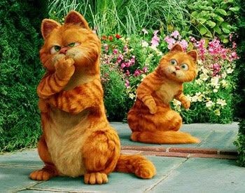 Tuổi Mão cơ hội rực rỡ