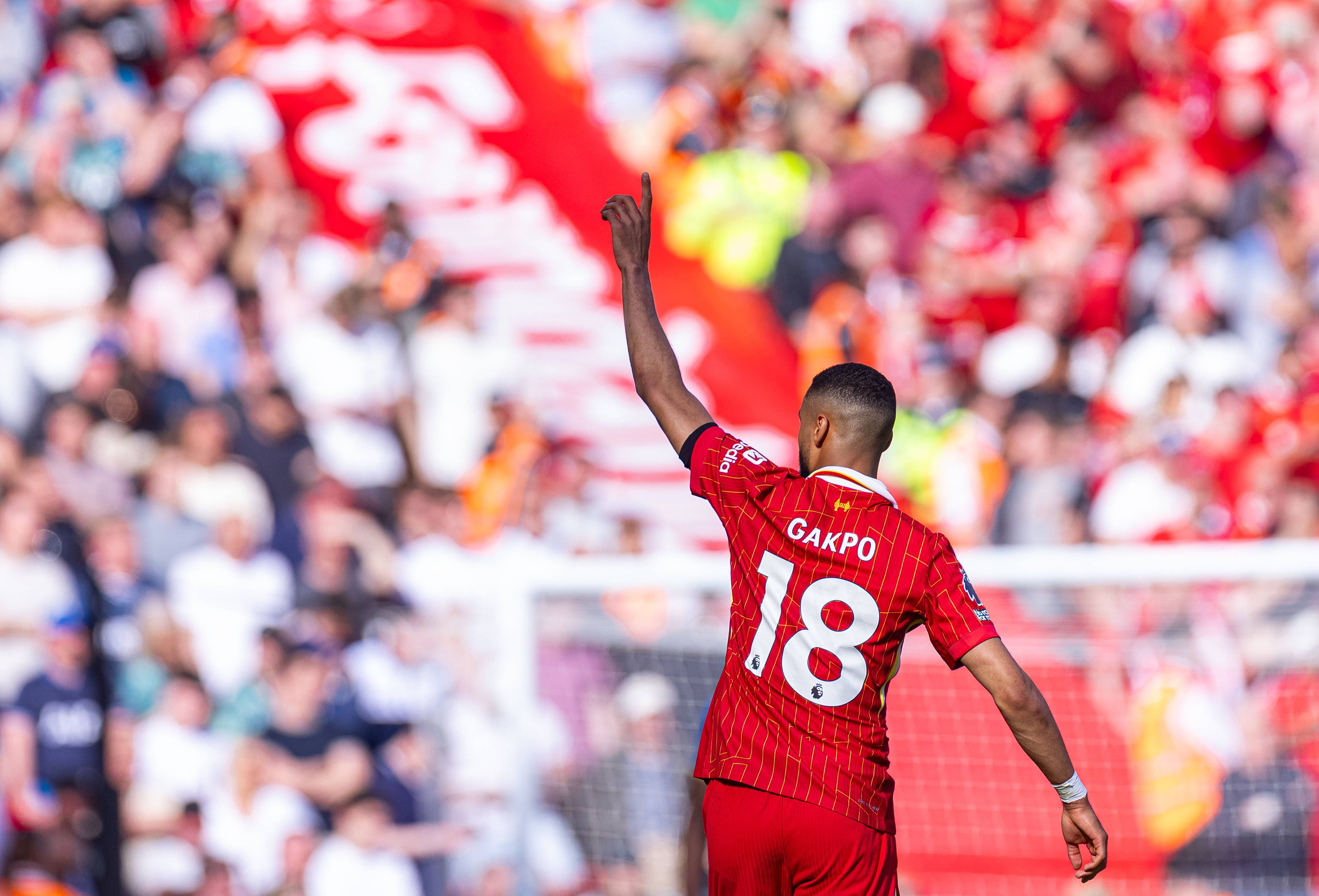 Gakpo dần chứng tỏ mình trong màu áo Liverpool