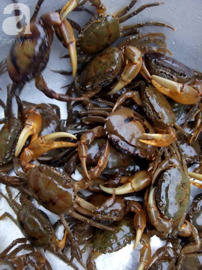 Chọn cua đồng ngon thì canh sẽ ngon